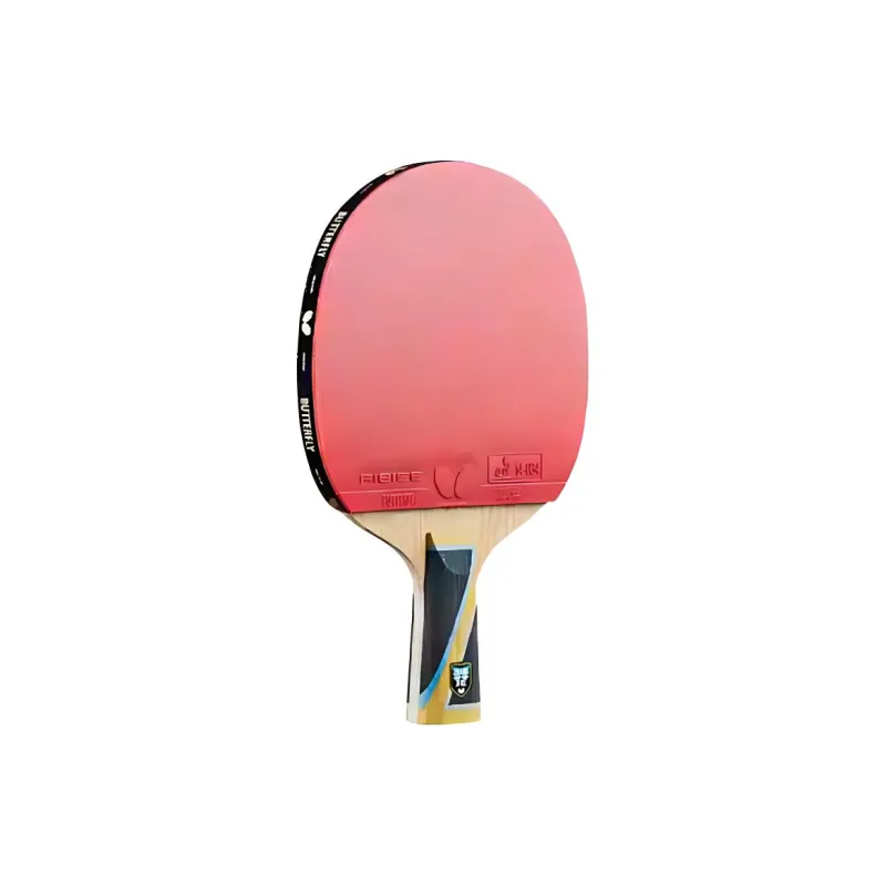 Butterfly Ping Pong Paddles-3