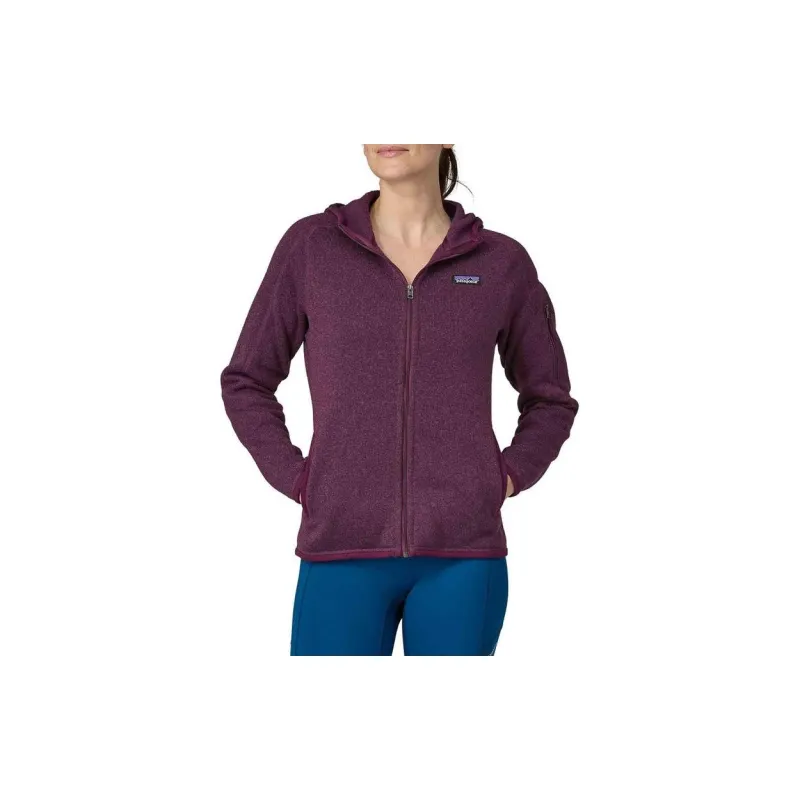 Patagonia Logo patch Hoodie-2