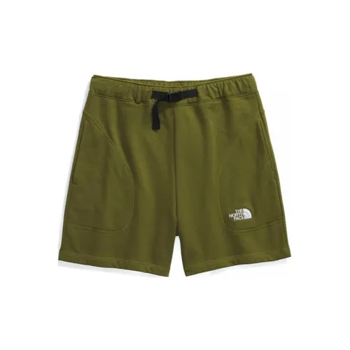 THE NORTH FACE Sports Shorts Men Green