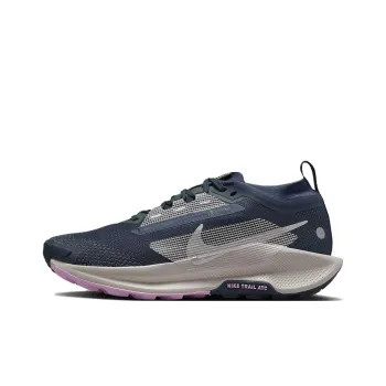 Nike Pegasus Trail 5 Gtx 'Armory Navy Violet' Women's