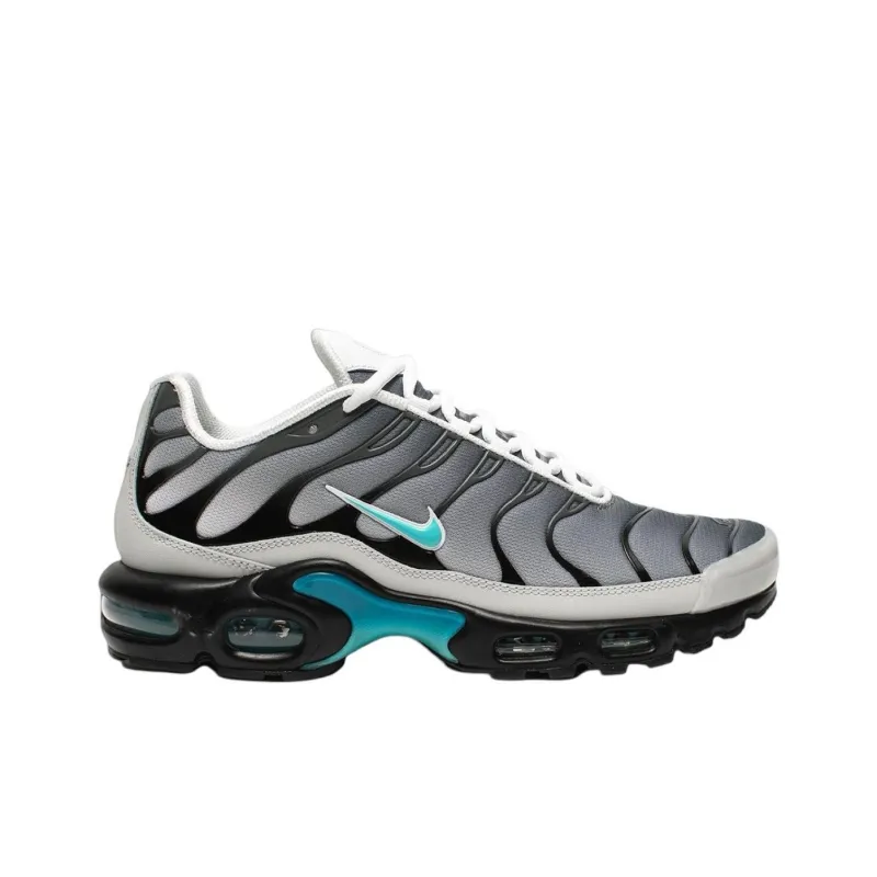 Nike Air Max Plus One Block Down Matte Silver-1