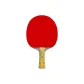 Double Fish New Eight Star, Ping Pong Paddle Shakehand Grip