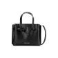 Bag+Dust Bag
