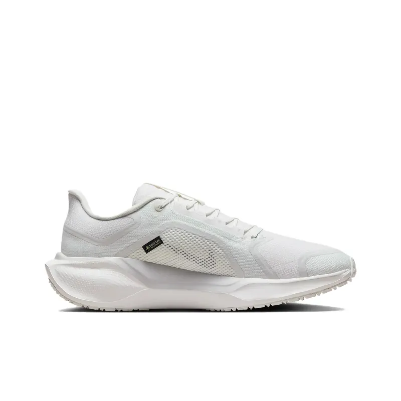 Nike Air Zoom Pegasus 41 Gore Tex Photon Dust-1