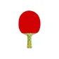 New Double Fish Seven Star, Ping Pong Paddle with Shakehand Grip