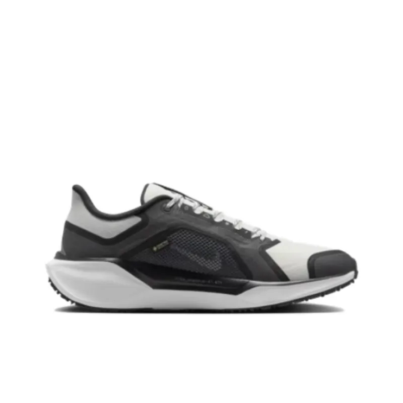 Nike Air Zoom Pegasus 41 Gore Tex Black Anthracite Iron Grey Summit White-1