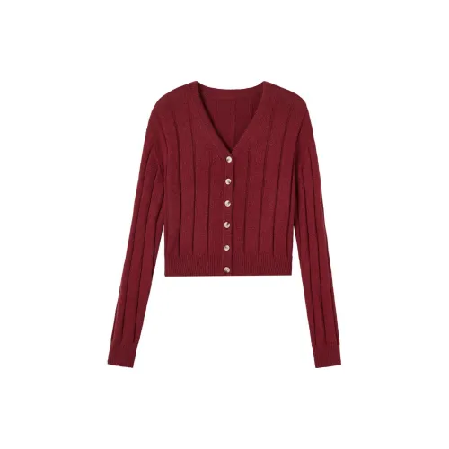 Dme Knitwear Women's Maroon