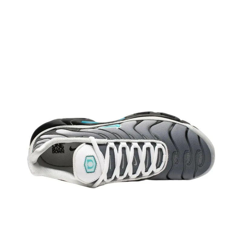 Nike Air Max Plus One Block Down Matte Silver-3