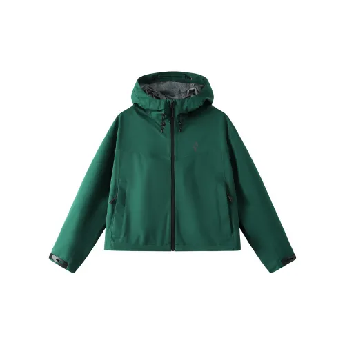 Skechers Yazhuan Series Windbreaker Jackets Unisex Rainforest Green