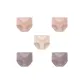 Cameo Brown+Cameo Brown+Skin+Purple+Purple-5 Pack