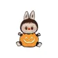 Labubu Pumpkin Badge Fridge Magnet