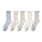 C Set-Blue+Pink+Light Green+Ecru+Khaki (5 Pack)