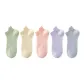 B Set-Green+Light Yellow+Shrimp Pink+Light Purple+Light Gray (5 Pack)