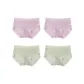 4 Pack (Light Purple+Light Purple+Light Green+Light Green)