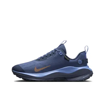 Nike React Infinity Run 4 Gore Tex Thunder Blue Diffused Blue Royal Pulse Metallic Red Bronze Women's
