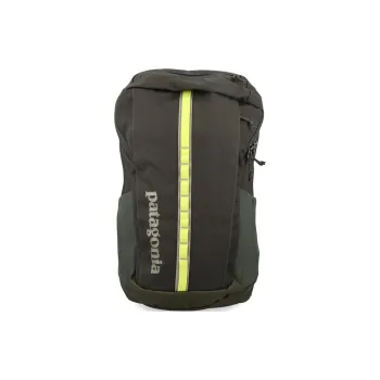 Patagonia Recycled Polyester Backpack Unisex Pine Needle Green