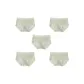 5 Pack (Light Green+Light Green+Light Green+Light Green+Light Green)