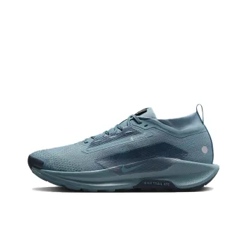 Nike Pegasus Trail 5 Gtx 'Smokey Blue Armory Navy'