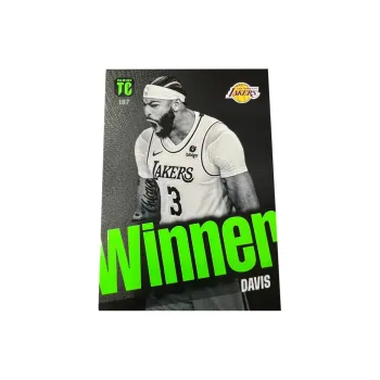 PANINI Lakers Anthony Davis AD TC Collection Teca Unstoppable Player Card Rare Card Sports Cards 1 Pc