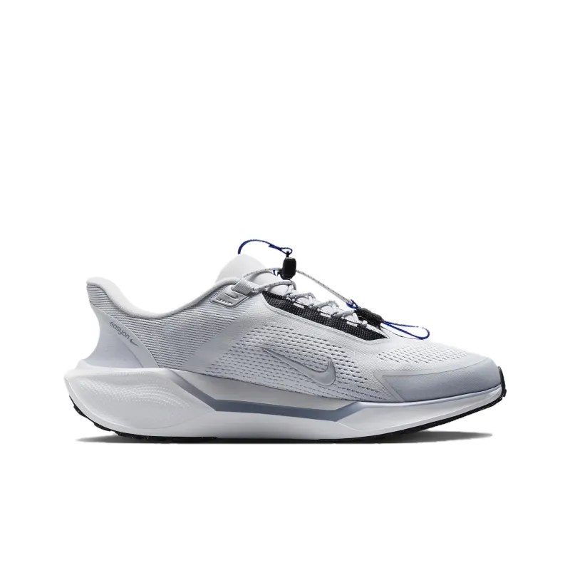 Nike Air Zoom Pegasus 41 EasyOn Pure Platinum Ashen Slate Racer Blue Metallic Silver-1