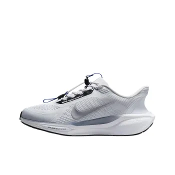 Nike Air Zoom Pegasus 41 EasyOn Pure Platinum Ashen Slate Racer Blue Metallic Silver