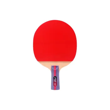 DHS Ping Pong Paddles