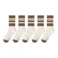 5 Pack[Thick Coffee Stripes 5]