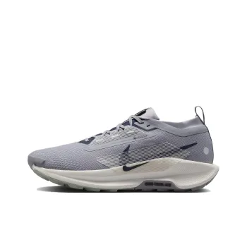 Nike Pegasus Trail 5 Gtx 'Cement Grey'