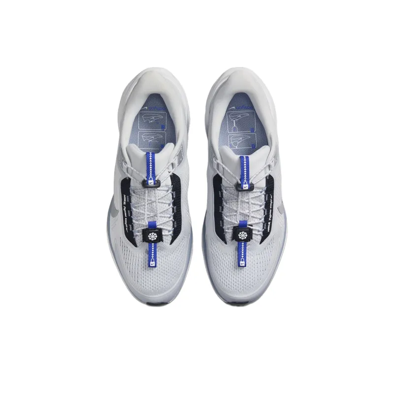 Nike Air Zoom Pegasus 41 EasyOn Pure Platinum Ashen Slate Racer Blue Metallic Silver-3