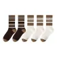5 Pack[Two-Tone Stripes 2+Thick Coffee Stripes 3]