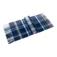 Blue White Plaid