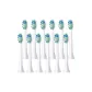 Plaque Removal Type 12 Pcs