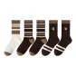5 Pack[Two-Tone Stripes 2+M Letter 2+Thick Coffee Stripes]