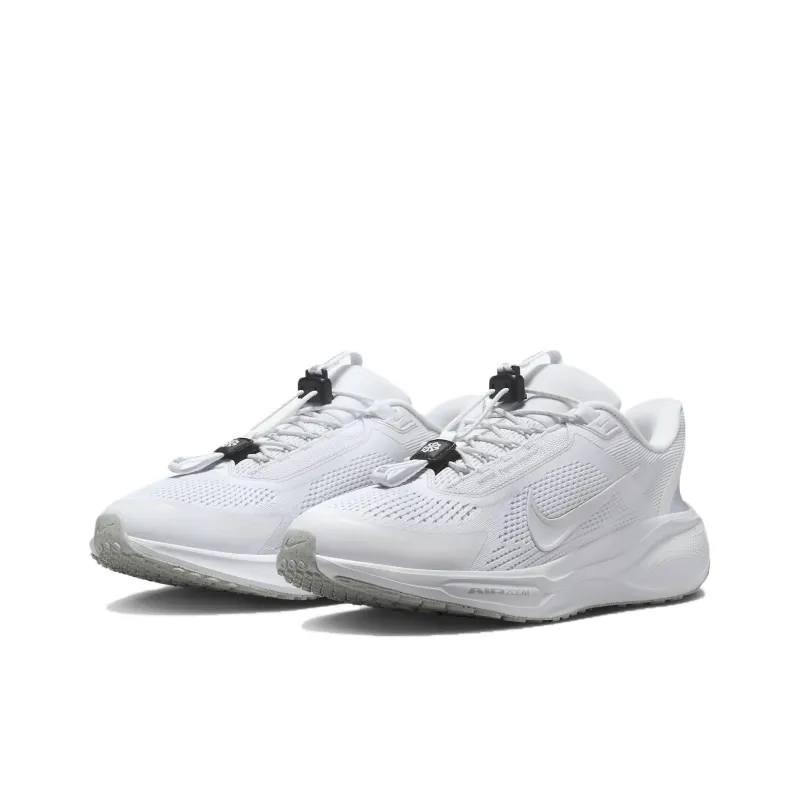 Nike Air Zoom Pegasus 41 EasyOn White Pure Platinum Dark Smoke Grey-2