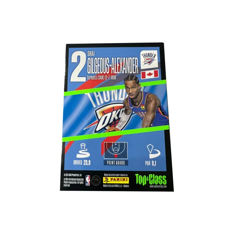 PANINI Sports Cards-1