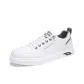 White Gray