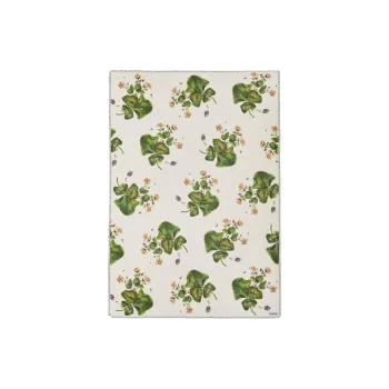 LOEWE Silk Shawls Women's White Green