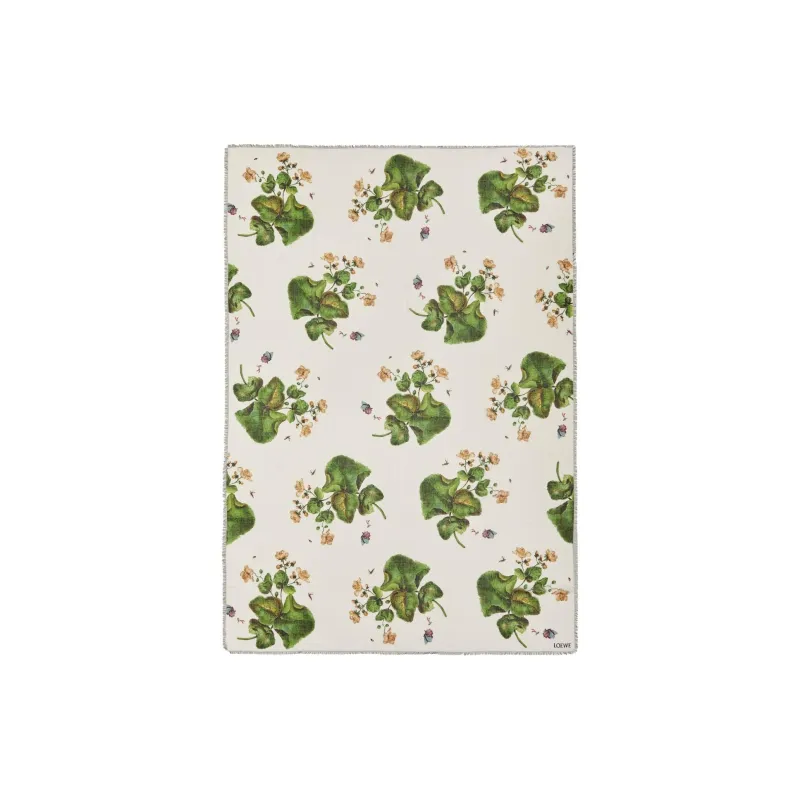 LOEWE Silk Shawls Women's White Green-0