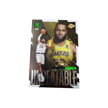 PANINI Lakers Hall Of Famers LeBron James TC Collection Teca Dunk Basketball Card Rare Card Sports Cards 1 Pc