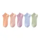 E Set-Orange+Shrimp Pink+Pink Purple+Light Blue+Light Green (5 Pack)