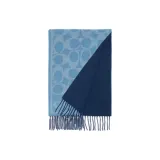 Blue/Light Blue