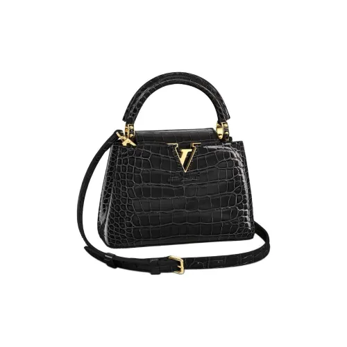 LOUIS VUITTON Capucines Handbags