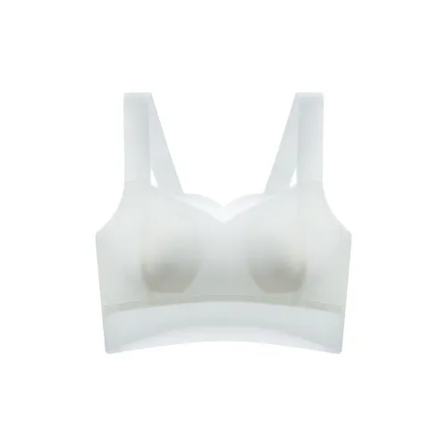 Caramella Women's Bras