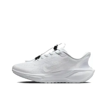Nike Air Zoom Pegasus 41 EasyOn White Pure Platinum Dark Smoke Grey Women's