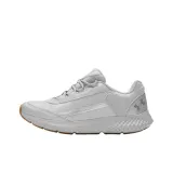 Metallic Silver