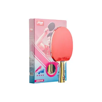 DHS Ping Pong Paddles