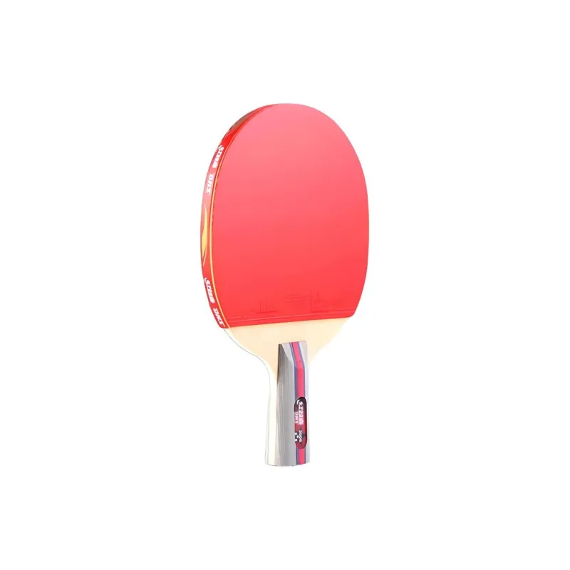 DHS Ping Pong Paddles-1