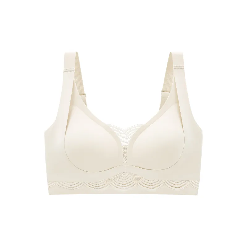 Caramella Women's Bras-0