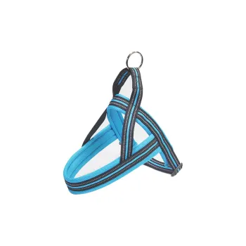 Kimpets Leashes