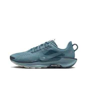 Nike React Pegasus Trail 5 Smokey Blue Light Silver Armory Navy